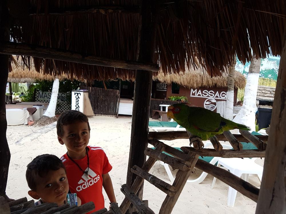 Costa Del Mar Hotel Playa del Carmen Exterior photo